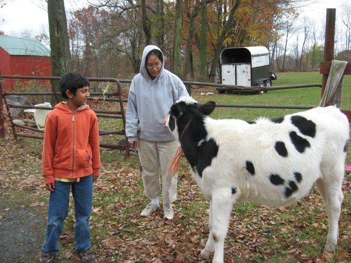 Volunteer Opportunities
