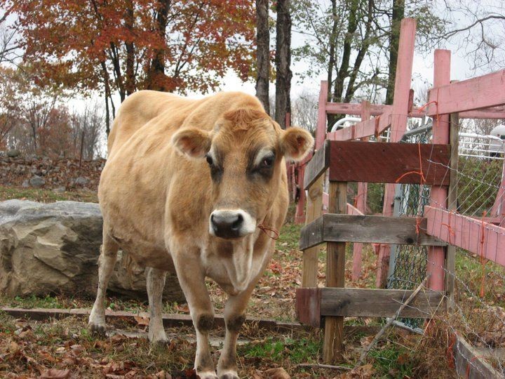 Sanctuary Tours and Visits